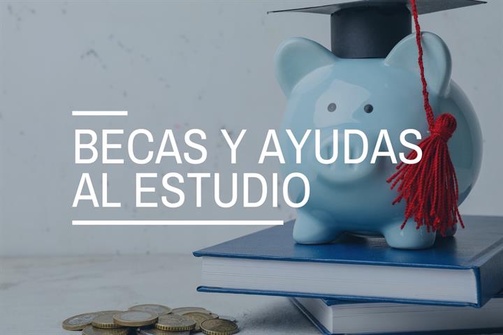 Becas y ayudas